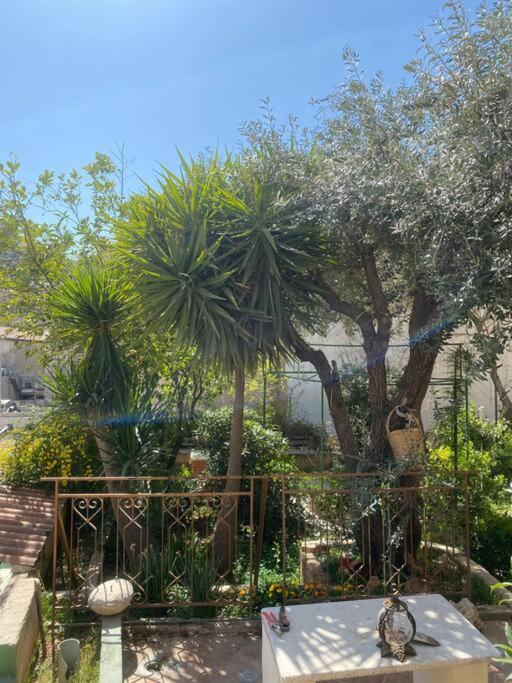 Central House With Beautiful Garden Amman Buitenkant foto