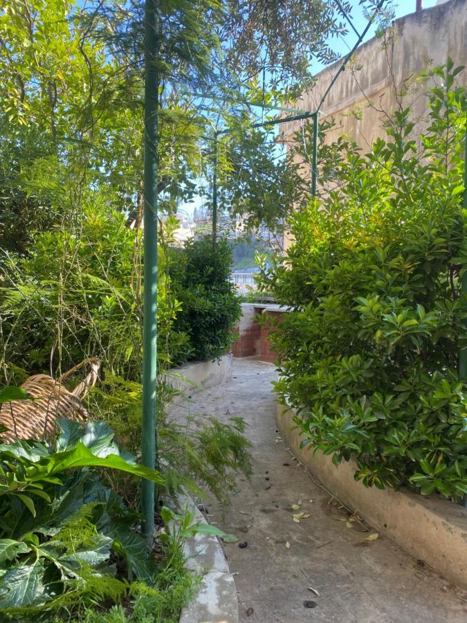 Central House With Beautiful Garden Amman Buitenkant foto