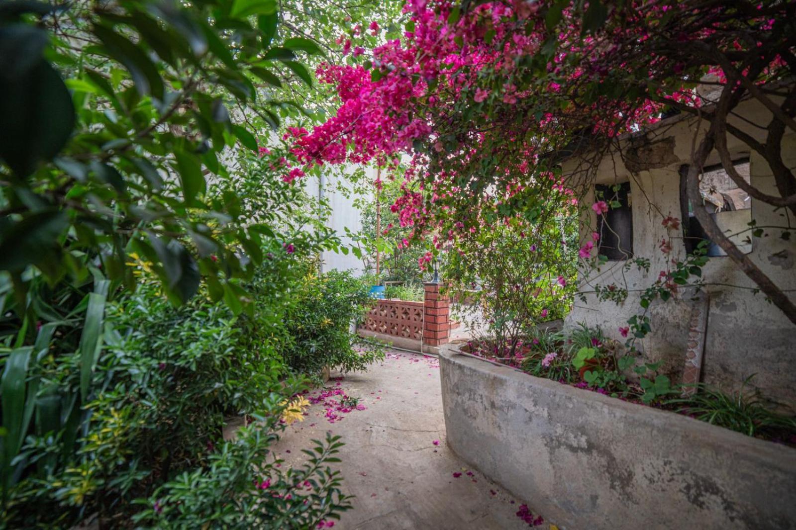 Central House With Beautiful Garden Amman Buitenkant foto
